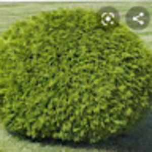 Meet your Posher, Osbert